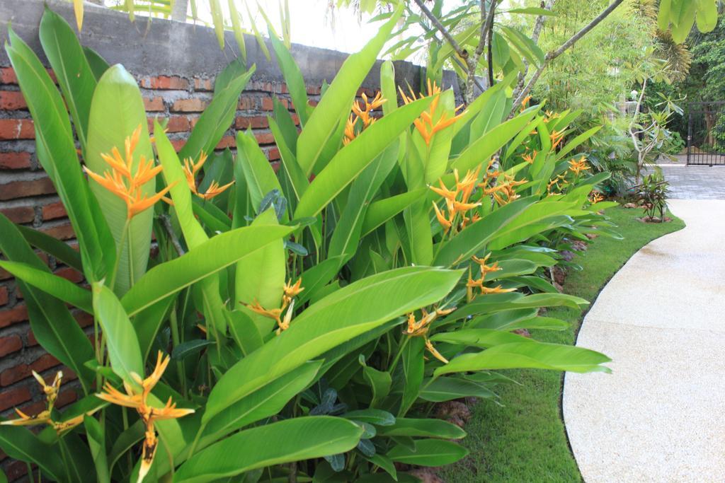 Albany Home Stay Kuta  ภายนอก รูปภาพ